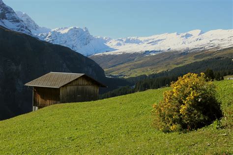 Grison Swiss Pegunungan Alpen Foto Gratis Di Pixabay Pixabay