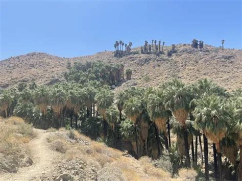 2023 Best Wildlife Trails in Agua Caliente Band of Cahuilla Indians ...