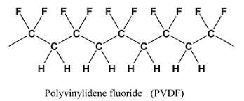 Monofilament vs Fluorocarbon For Louisiana Inshore Anglers