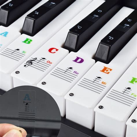 Buy Piano Keyboard Stickers Removable For Beginners 37 49 54 61 76 88