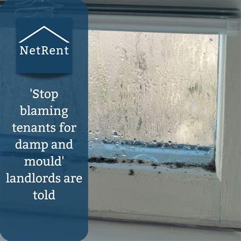 Stop Blaming Tenants For Damp And Mould Landlords Are Told Netrent