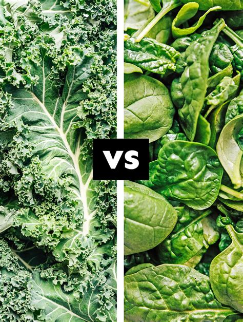 Kale Vs Spinach Which Is Better With Photos