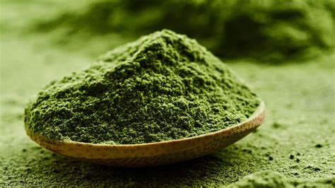 The Benefits And Uses Of Buying Bulk Chlorella Powder From Impact Foods