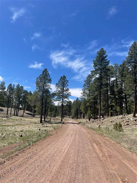 FS 132 and Chill , Arizona - GPS Trail Map, Conditions & Difficulty ...