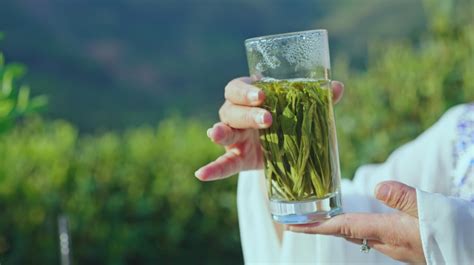 黄山名茶太平猴魁（来自黄山的茶中翘楚、绿茶茶王——太平猴魁） 说明书网