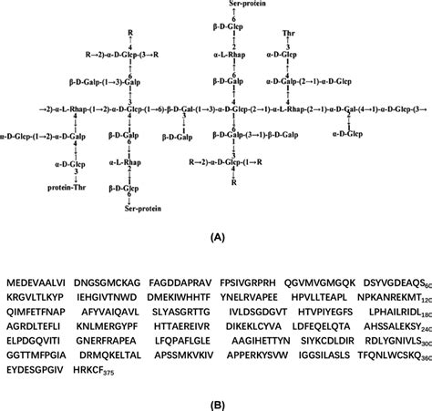 Proteoglycan Extracted From Ganoderma Lucidum Ameliorated Diabetes