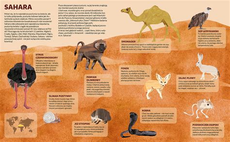 Sahara Desert Plants And Animals