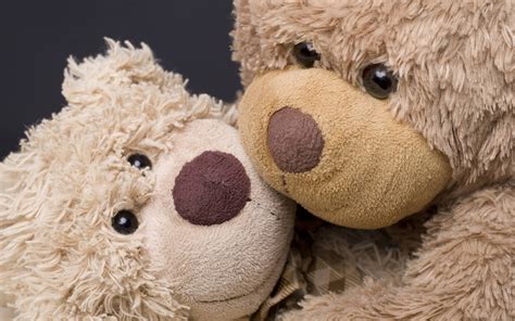 Cute Teddy Bear Couple Hd Wallpaper K Infoupdate Org