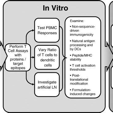 Example Roadmap For Immunogenicity Prediction A Potential Step Wise