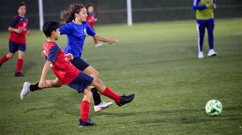 Los 16 Colegios De Navarra Que Se Han Clasificado Para El Torneo