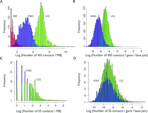 Extensive Variation In Ribosomal Dna Rdna Contacts Across