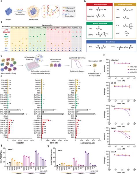 The Design Of Antigen Nanocapsules And Their Capability To Induce