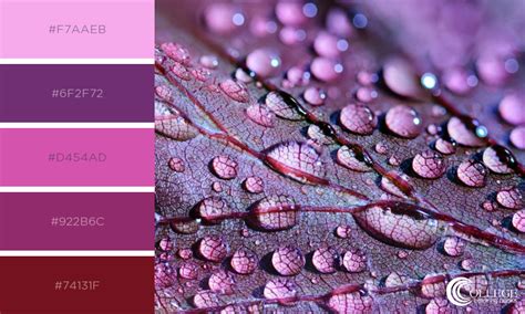 15 Gorgeous Pantone Ultraviolet Color Palettes – craftandcolorco