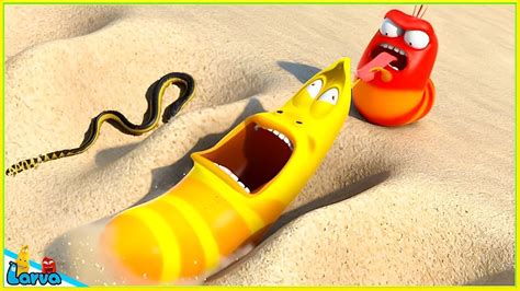 Larva Full Episode Cartoon Movie For Life The Best Of Cartoon