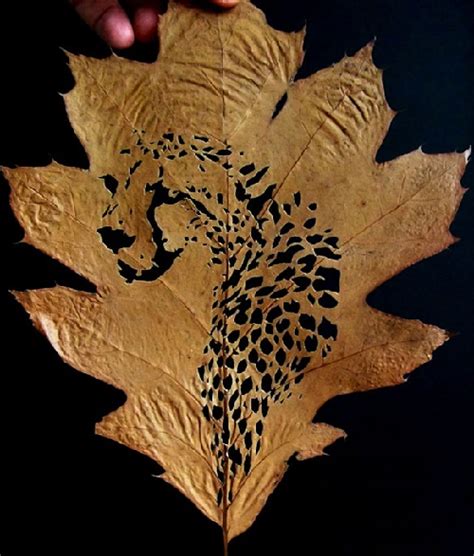 leaf cutting art  iranian artist omid asadi  art kaleidoscope