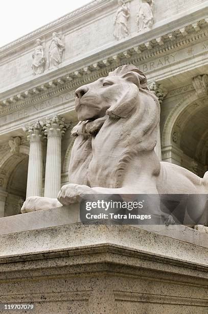 5,169 Nyc Public Library Lions Stock Photos, High-Res Pictures, and ...