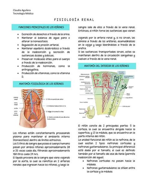 RENAL Completo DANIELA ALEJANDRA PANCHILLO CASTRO UDocz