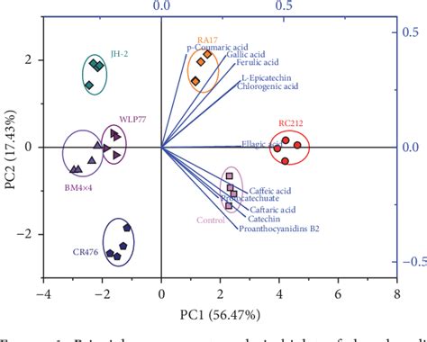 Figure 1 From Effects Of Six Commercial Saccharomyces Cerevisiae