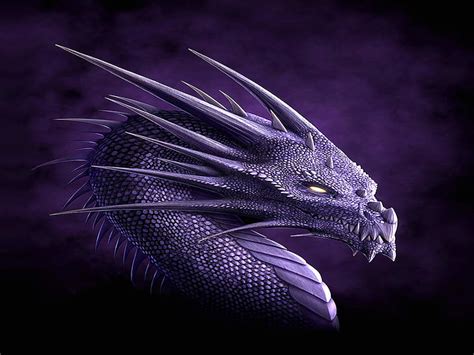 HD wallpaper: purple dragon illustration, Fantasy, animal, siamese Fighting Fish | Wallpaper Flare