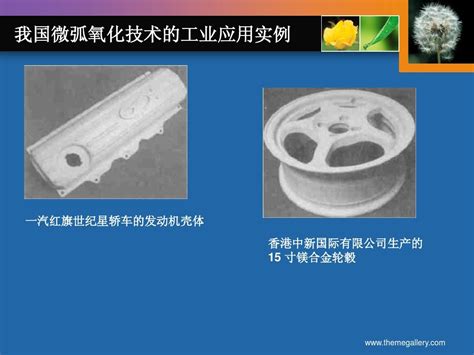 微弧氧化技术的研究与应用word文档在线阅读与下载无忧文档