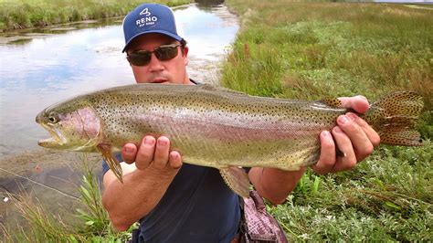 The Fly Syndicate Eastern Nevada Campingand Fishingand Shooting