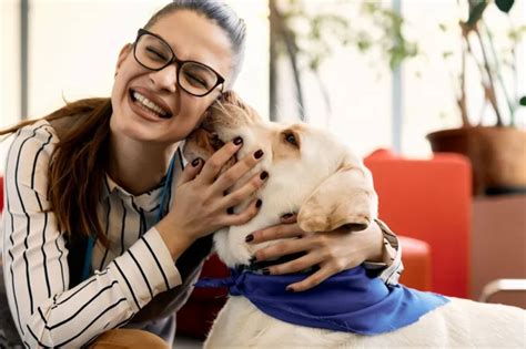 campus therapy dogs  students manage anxiety  improve