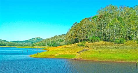 Thekkady Kerala - Munnar Kerala