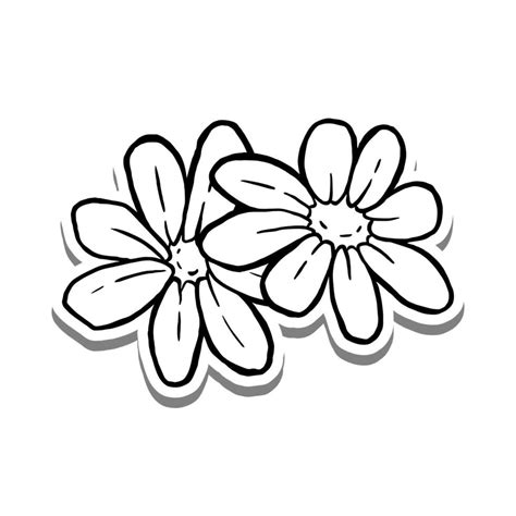 Black line Two Daisies on white silhouette and gray shadow. Hand drawn ...