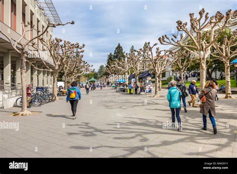 Approach to the UC Berkeley university campus, Berkeley, CA, USA Stock ...