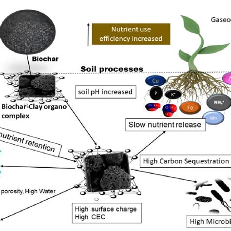 Fate Of Biochar Application In The Soil To Renovate Various Soil