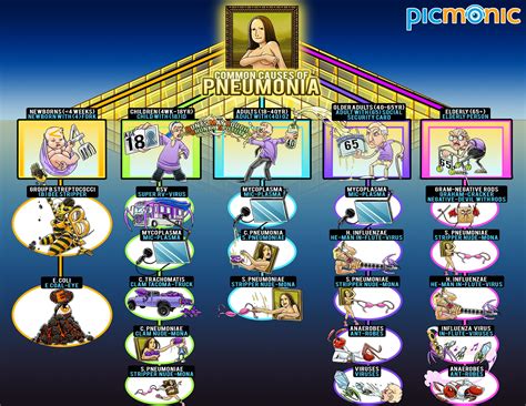 [Infographic] How to Study: Common Causes of Pneumonia