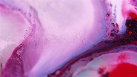 Paint Blend Ink Water Flow Purple Pink Fluid Wave Stock Video Video