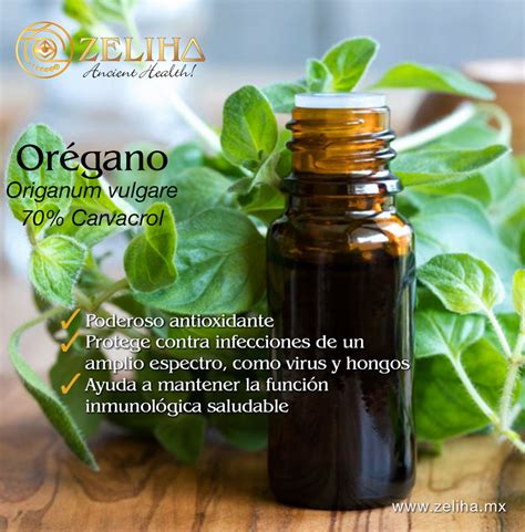 Kit Esencial De Or Gano Aceite Carvacrol Especie Y Jab N De