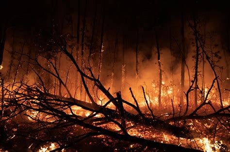 Huge N J Forest Fire Expands To 11 000 Acres Could Be Largest Wildfire In 15 Years Urban