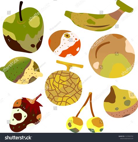 Rotten Fruit Illustration Set 2 Stock Vector (Royalty Free) 1127993792 ...