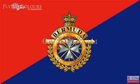 Royal Bermuda Regiment flag | Officially Licenced MoD Artwork Flags ...