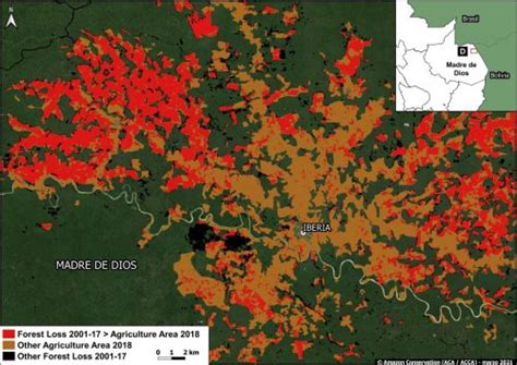 Maap 134 Agriculture And Deforestation In The Peruvian Amazon