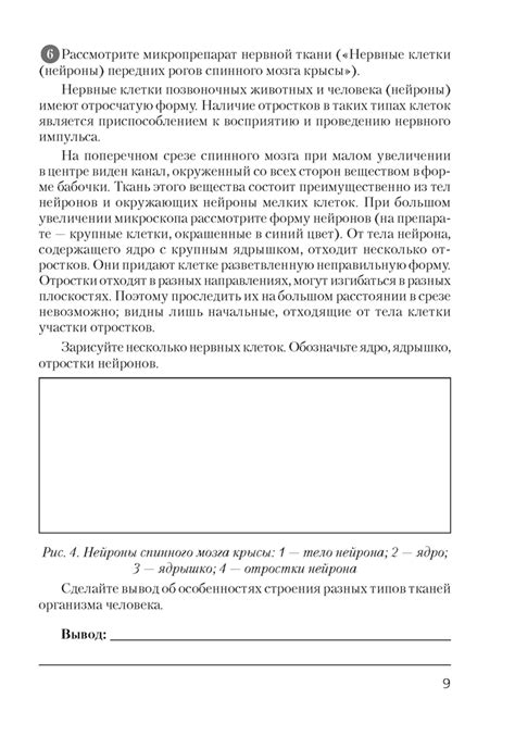 Купить Биология, 9 класс. Тетрадь для лабораторных и практических работ ...