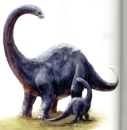 Category:Genus: Brontosaurus | Fiction Taxonomy Wiki | Fandom