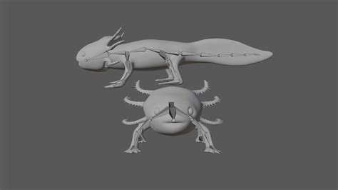 Axolotl 3d model Rigged and Low Poly - Team 3d Yard