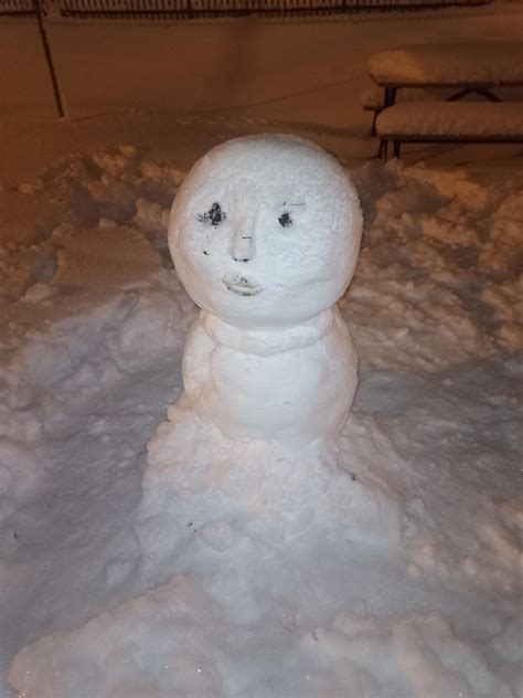 Unrealistic beauty standards spotted in Coffee Park, NDG. : r/montreal