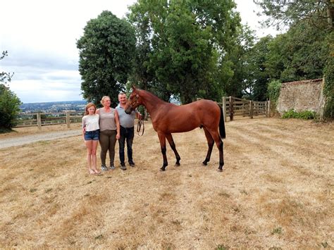 Près De Condé En Normandie Le Haras De L Être Spécialisé Dans La Préparation Des Yearlings