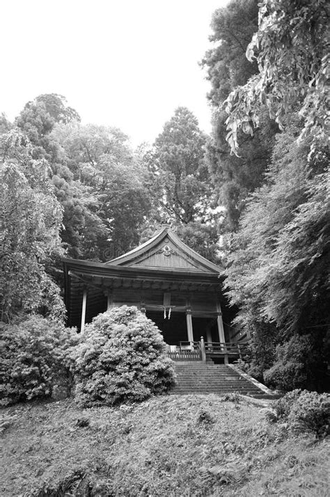 Art Et Architecture Dans Les Anciens Temples Et Sanctuaires Japonais