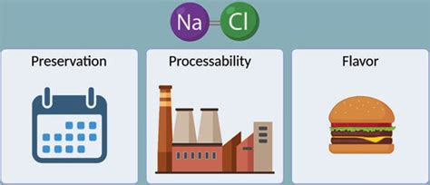 1 Main roles of NaCl used in food products. (Created with BioRender.com) | Download Scientific ...