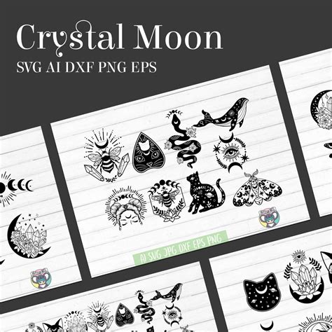 Moon SVG Vector Design MasterBundles