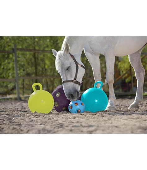 Horse Play Ball Toys For Horses Kramer Equestrian