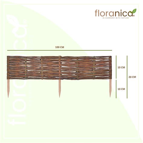 Gard De Rachita Floranica 10 Bucati Inaltime 10 Cm EMAG Ro