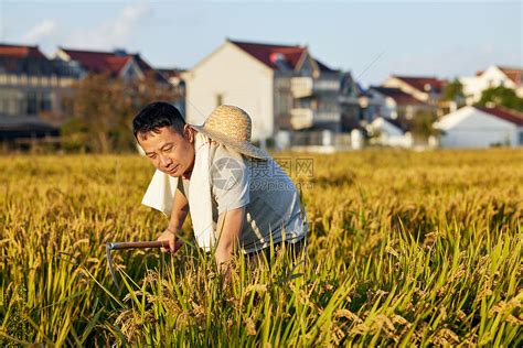 烈日下辛勤劳作的农民高清图片下载 正版图片507716832 摄图网