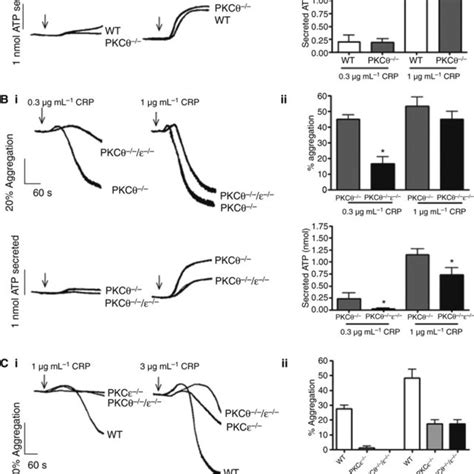 PKCh E Platelets Express Normal Levels Of Other PKC Isoforms