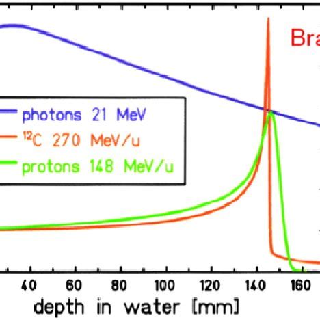 Depth Dose Profiles For Photons Protons And Carbon Ions It Can Be